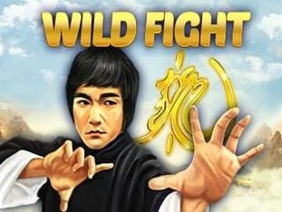 Wild Fight game cover